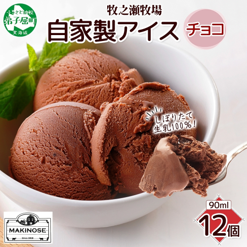 3221. 牧之瀬牧場 自家製アイス チョコ 90ml 12個 アイス 氷菓子 チョコ味 チョコレート フレーバー 牧場 手作り セット おやつ デザート スイーツ 冷凍 ギフト 送料無料 北海道 弟子屈町 1998536 - 北海道弟子屈町