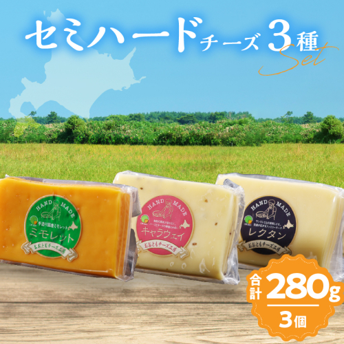 【おおともチーズ工房】《熟成の旨味を堪能!!》熟成セミハードチーズ3種セット_H0003-017 1998581 - 北海道浜中町