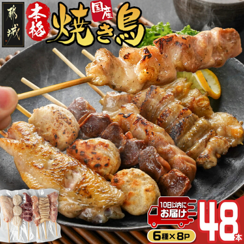 職人串打ちの本格焼き鳥48本!!≪みやこんじょ特急便≫_12-3307-Q 1998752 - 宮崎県都城市