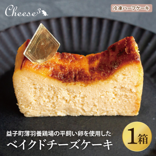 ベイクドチーズケーキ　冷凍ハーフケーキ｜栃木県 益子町 ふるさと納税 チーズケーキ ベイクドチーズケーキ ケーキ 冷凍ケーキ（CP004） 1998945 - 栃木県益子町