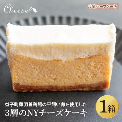 3層のNYチーズケーキ　冷凍ハーフケーキ｜栃木県 益子町 ふるさと納税 チーズケーキ NYチーズケーキ ケーキ 冷凍ケーキ（CP005） 1998947 - 栃木県益子町