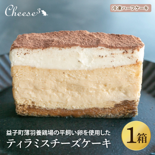 ティラミスチーズケーキ　冷凍ハーフケーキ｜栃木県 益子町 ふるさと納税 チーズケーキ ティラミス ケーキ 冷凍ケーキ（CP006） 1998948 - 栃木県益子町