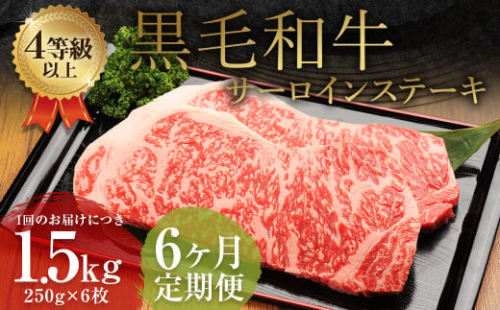 【6ヶ月定期便】 くまもと 黒毛和牛 サーロインステーキ 1.5kg（250g×6枚）牛肉 牛 肉 1999569 - 熊本県益城町