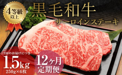 【12ヶ月定期便】 くまもと 黒毛和牛 サーロインステーキ 1.5kg（250g×6枚）牛肉 牛 肉 1999571 - 熊本県益城町