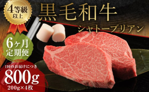 【6ヶ月定期便】 くまもと 黒毛和牛 シャトーブリアン 800g（200g×4枚） 牛肉 牛 肉 1999577 - 熊本県益城町