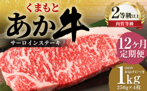 【12ヶ月定期便】 くまもと あか牛 サーロイン 1.0kg（250g×4枚） 牛肉 牛 肉 1999607 - 熊本県益城町
