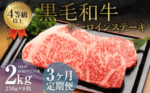 【3ヶ月定期便】 くまもと 黒毛和牛 サーロインステーキ 2.0kg（250g×8枚） 牛肉 牛 肉 1999613 - 熊本県益城町