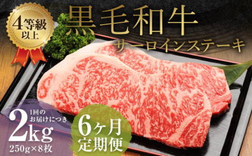 【6ヶ月定期便】 くまもと 黒毛和牛 サーロインステーキ 2.0kg（250g×8枚） 牛肉 牛 肉 1999614 - 熊本県益城町