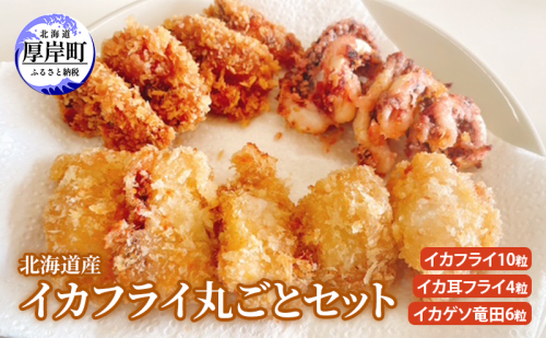 北海道産イカフライ丸ごとセット (イカフライ 10粒 イカ耳フライ 4粒 イカゲソ 竜田 6粒 ) イカ 揚げ物 冷凍 1999950 - 北海道厚岸町
