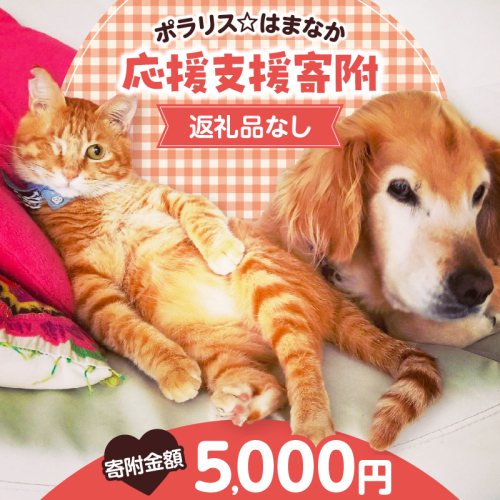 【動物愛護ボランティア】浜中町「ポラリス☆はまなか」を支援　5000円分 返礼品なし_H0048-005 2000102 - 北海道浜中町