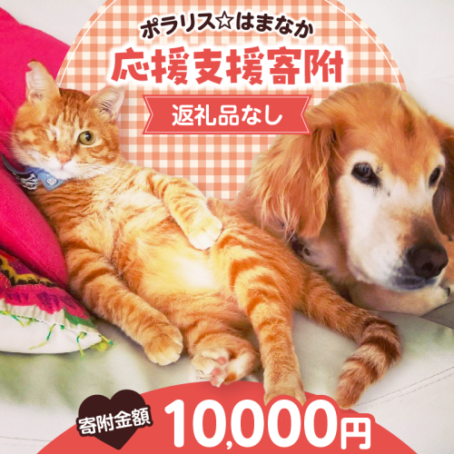 【動物愛護ボランティア】浜中町「ポラリス☆はまなか」を支援　10000円分 返礼品なし_H0048-006 2000103 - 北海道浜中町
