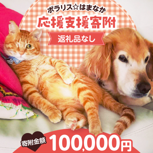 【動物愛護ボランティア】浜中町「ポラリス☆はまなか」を支援　100000円分 返礼品なし_H0048-009 2000224 - 北海道浜中町