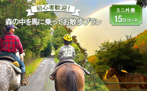 初心者歓迎 森の中を馬に乗ってお散歩プラン(15分) ミニ外乗 体験 広島 安芸高田市 エオの谷 2000896 - 広島県安芸高田市