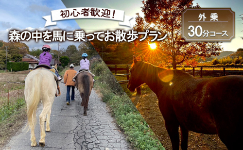 初心者歓迎 森の中を馬に乗ってお散歩プラン(30分) 外乗 体験 広島 安芸高田市 エオの谷 2000897 - 広島県安芸高田市