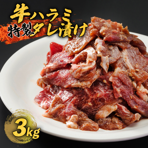 牛ハラミ 特製 タレ漬け 3kg 牛肉 牛 ハラミ 肉 味付 焼肉 焼き肉 冷凍 小分け 真空パック 簡単 調理 料理 カット 大人数用 熨斗 贈答 熨斗 御歳暮 お歳暮 ギフト 200117 - 京都府舞鶴市