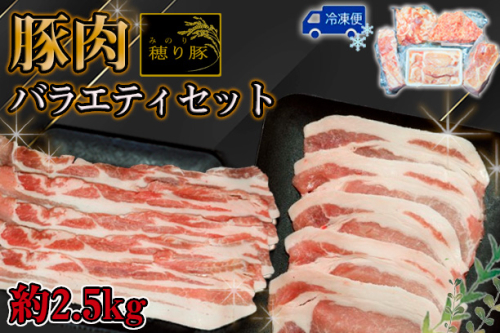 No.840 坂東市産の豚肉バラエティセット　約2.5kg ／ 背ロース バラ もも 小間切れ ひき肉 セット うま味 茨城県 2001907 - 茨城県坂東市