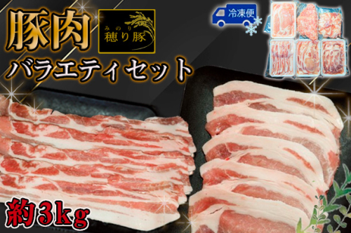 No.841 坂東市産の豚肉バラエティセット　約3kg ／ 背ロース 肩ロース バラ もも 小間切れ ひき肉 うま味 セット 茨城県 2001908 - 茨城県坂東市