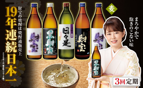 C3-22125／【 定期便 】 3回 届け・ 焼酎 4種5本 飲み比べセット 【5合瓶（麦）】 温泉水仕立て！ 財宝 200215 - 鹿児島県垂水市