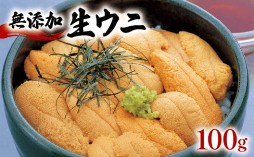 生うに 100g うに 冷蔵 ウニ 雲丹 無添加 ミョウバン不使用 ご飯 丼 海鮮丼 ウニ丼 おつまみ 岩手県産  鎌田水産 三陸 岩手県 大船渡市