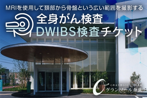 ＤＷＩＢＳ 全身がん検査／グランソール奈良 ＤＷＩＢＳ がん検査 奈良県 宇陀市 グランソール奈良 結婚記念日 父の日 母の日 敬老の日 勤労感謝の日 ギフト プレゼント 200276 - 奈良県宇陀市