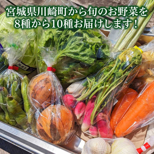 宮城県川崎町から旬のお野菜を8種から10種お届けします！　【04324-0317】 2002980 - 宮城県川崎町