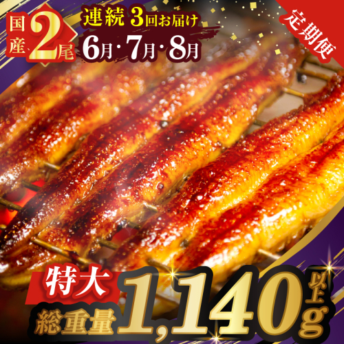 ≪定期便全3回≫6月・7月・8月お届け!!うなぎ蒲焼 特大2尾 (総重量1.14kg以上) 鰻 魚 魚介 加工品 国産_T026-0071 2004065 - 宮崎県都農町