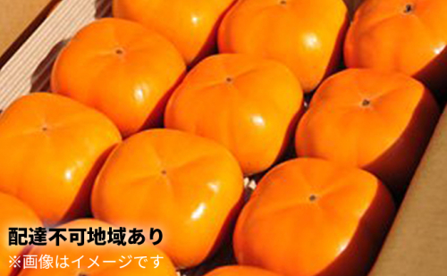 長生き次郎柿「長寿郎（ちょうじゅろう）」2L～Mサイズ 2.5kg 10～16玉入り 11月発送 柿 かき 果物 くだもの フルーツ 旬の果物 次郎柿 静岡 高級 浜松市【配送不可：離島】 200427 - 静岡県浜松市