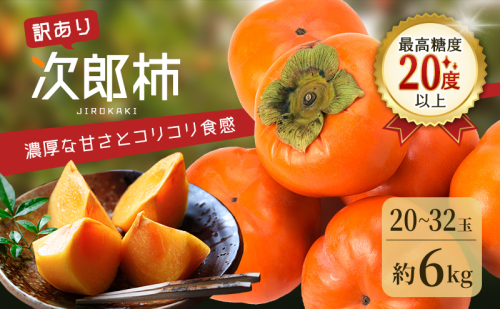 訳あり 長生き次郎柿「長寿郎（ちょうじゅろう）」2L～Mサイズ 5kg 20～28玉入り 11月発送 柿 かき 果物 くだもの フルーツ 旬の果物 次郎柿 静岡 浜松市【配送不可：離島】