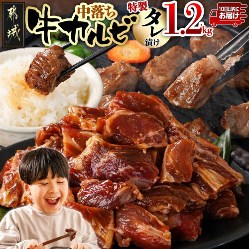 牛中落ちカルビ タレ漬け1.2kg≪みやこんじょ特急便≫_AA-3320-Q 2005348 - 宮崎県都城市