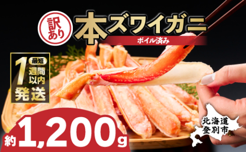 【最短1週間以内出荷】訳あり 冷凍 ボイル ずわいがに 足 1200g ズワイガニ ハーフポーション | ギフト 2025 2006137 - 北海道登別市