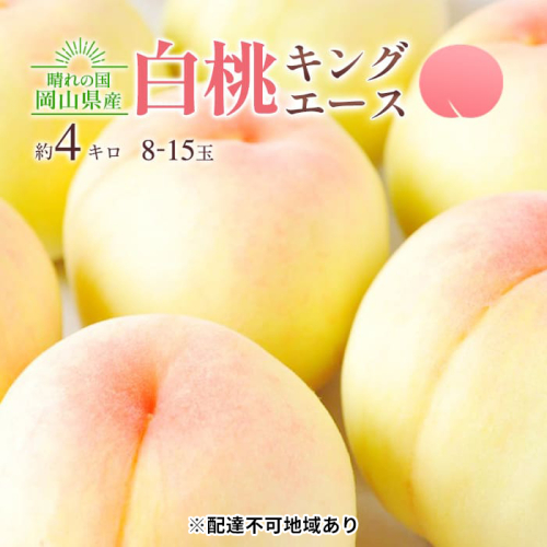 桃 2025年 先行予約 岡山 白桃 キング・エース 約4kg 8～15玉入り もも モモ 岡山県産 国産 フルーツ 果物 ギフト 橋田商店 2006279 - 岡山県玉野市