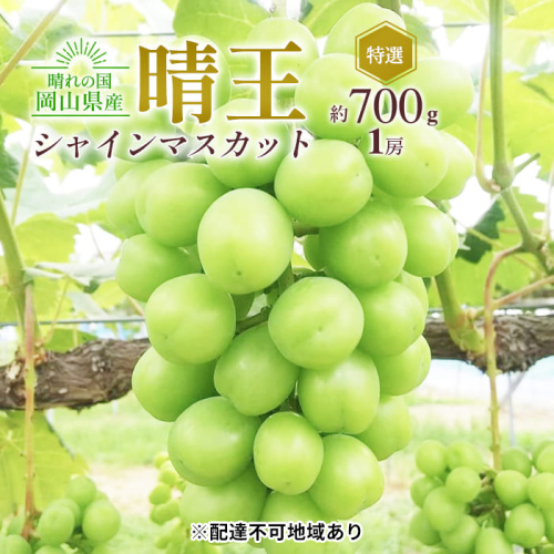 ぶどう 2025年 先行予約 シャイン マスカット 晴王 特選 1房 約700g 大粒 種無し ブドウ 葡萄 岡山県産 国産 フルーツ 果物 ギフト 橋田商店 2006283 - 岡山県玉野市