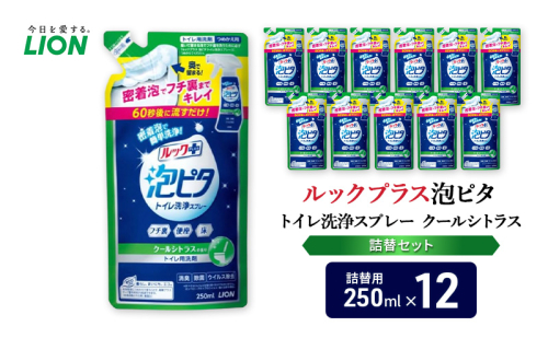 トイレ用洗剤 ルックプラス泡ピタ トイレ洗浄スプレー クールシトラス 詰め替え用12袋 ライオン LION セット 日用品 消耗品 トイレ 掃除 洗浄 詰替え 石鹸 ギフト 市原市 2006307 - 千葉県市原市