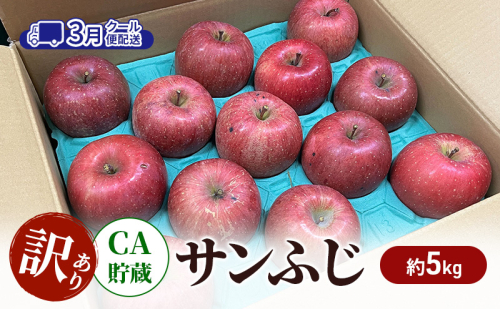 りんご 【3月クール便配送】 CA貯蔵 訳あり サンふじ 約 5kg リンゴ 果物 訳アリ 青森県 鶴田町 2007360 - 青森県鶴田町
