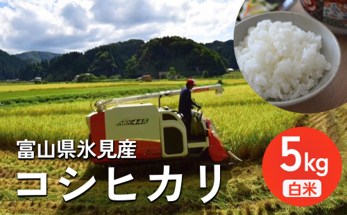 ＜先行予約＞ 令和7年産 富山県氷見産 コシヒカリ 白米 5kg ＜2025年10月中旬以降順次発送＞ 富山県 氷見市 米 こしひかり 2007368 - 富山県氷見市