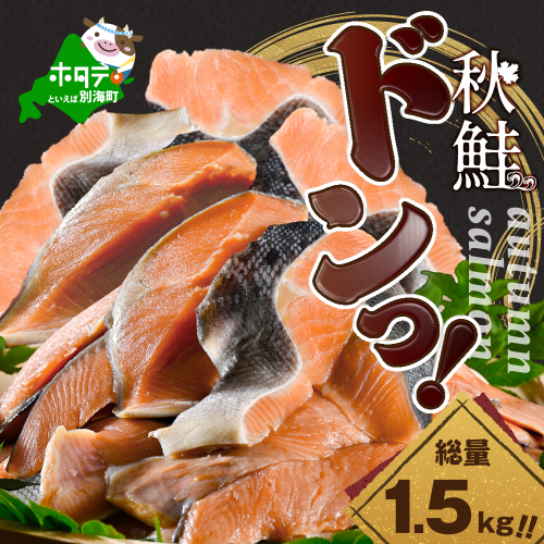 【訳あり】秋鮭ドンっ!無塩 秋鮭 切り身 1.5kg 【BT000PB05】 2008043 - 北海道別海町