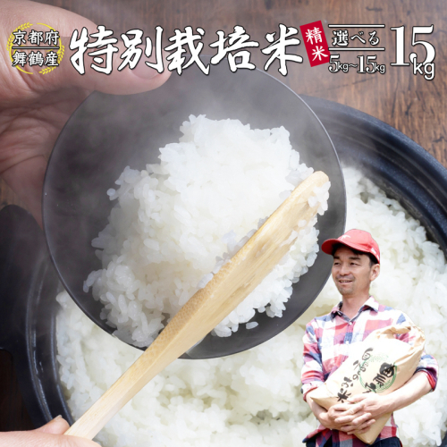 【令和7年度産 新米 先行予約】 棚田米 白米 15kg コシヒカリ 特別栽培米 精米 京都産 農家直送 こしひかり 減農薬 低農薬 お米 ご飯 米 棚田 2008614 - 京都府舞鶴市