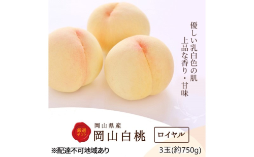 桃 2025年 先行予約 白桃 3玉(約750g)等級：ロイヤル 化粧箱入り もも モモ 岡山県産 国産 フルーツ 果物 セット ギフト 2010485 - 岡山県玉野市