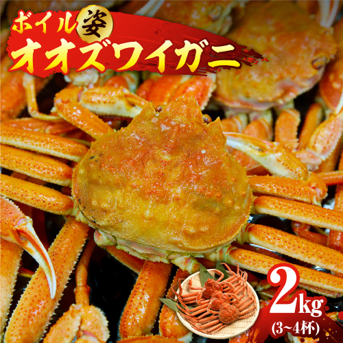 ボイルオオズワイガニ姿 2kg(3~4杯)【er018-063-a】 2010972 - 北海道えりも町