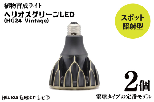 BN044　植物育成ライト「ヘリオスグリーンLED（Vintage）」２個セット 2011377 - 埼玉県春日部市