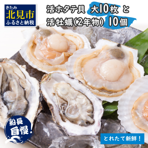 【予約：2025年11月中旬から順次発送】活ホタテ貝 大 10枚・活牡蠣 2年物 10個 ( 海鮮 魚介 貝 帆立 ほたて ホタテ カキ かき 牡蠣 セット BBQ )【114-0046】 2011379 - 北海道北見市