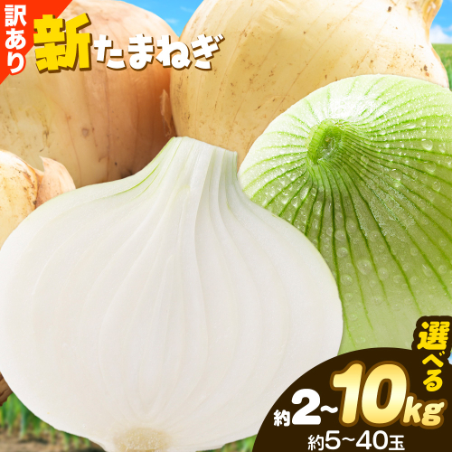 訳あり たまねぎ 新たまねぎ 新 玉ねぎ 紀の川市産 選べる内容量 約2kg 約5kg 約10kg お試し 大容量 不選別《5月下旬-7月中旬頃出荷》和歌山県 紀の川市 送料無料 野菜 玉葱 新玉ねぎ 新たま 旬 お取り寄せ 訳あり野菜 2012515 - 和歌山県紀の川市