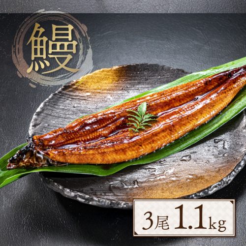 うなぎ 蒲焼 特大サイズ 肉厚 約 1.1kg 3尾 タレ・山椒付 茶葉蒸し [大黒物産 福岡県 宇美町 um40bak830001] 鰻 ウナギ 小分け うなぎ蒲焼 鰻蒲焼き 訳あり 蒲焼き かば焼き 茶葉蒸しうなぎ 真空パック 個包装 冷凍 unagi 2012805 - 福岡県宇美町