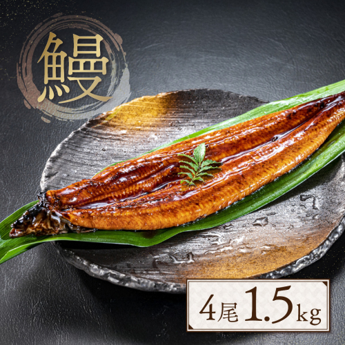 うなぎ 蒲焼 特大サイズ 肉厚 約 1.5kg 4尾 タレ・山椒付 茶葉蒸し [大黒物産 福岡県 宇美町 um40bak830002] 鰻 ウナギ 小分け うなぎ蒲焼 鰻蒲焼き 訳あり 蒲焼き かば焼き 茶葉蒸しうなぎ 真空パック 個包装 冷凍 unagi 2012806 - 福岡県宇美町