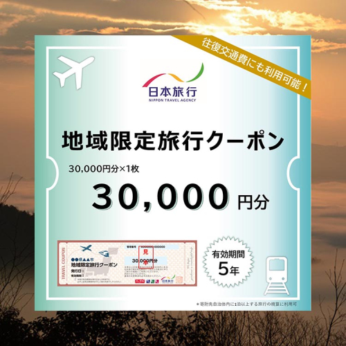 【有効期限は発行日から5年間】京都府亀岡市 日本旅行 地域限定旅行クーポン30,000円分 交通費利用可 旅行 トラベル 旅行券 宿泊券 予約 チケット ホテル 観光 おすすめ 2013331 - 京都府亀岡市