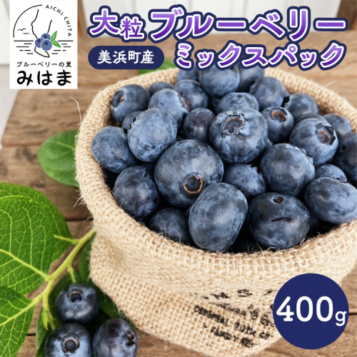 【数量&期間限定】国産大粒ブルーベリー 100g×4パック入り ※2025年6月中旬~8月中旬に順次発送予定 ※北海道・沖縄・離島への配送不可 2016040 - 愛知県美浜町