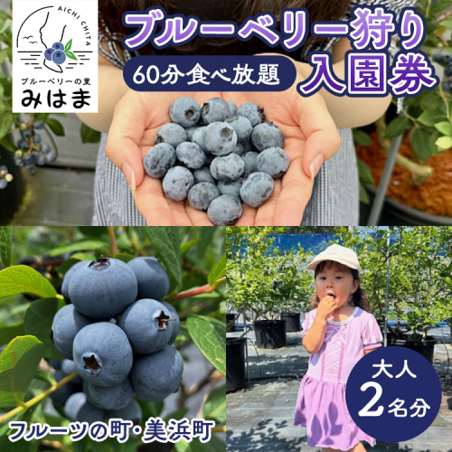 【食べ放題!】ブルーベリ狩り入園券 大人2名分 2016052 - 愛知県美浜町