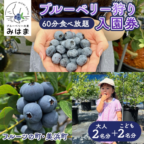 【食べ放題!】ブルーベリ狩り入園券 大人2名分+子供2名分 2016062 - 愛知県美浜町