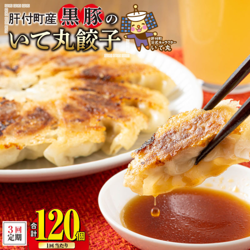 C43018 <定期便・全3回> 鹿児島県 肝付町産 黒豚 餃子 ギョーザ (1回120個・12個入 10パック) 2017502 - 鹿児島県肝付町