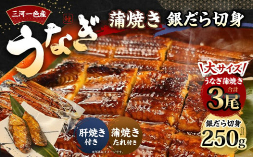 三河一色産 うなぎ蒲焼き 大3尾 + 銀たら 照り焼き 3切れ 蒲焼きたれ セット 簡単調理 冷凍 2017509 - 愛知県幸田町